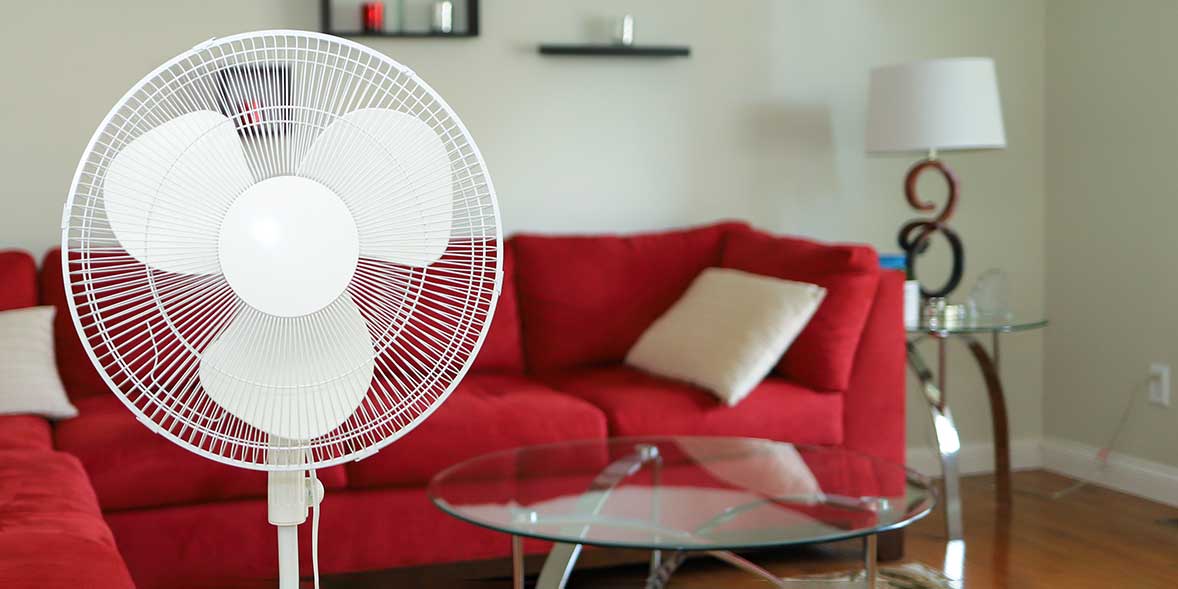 Electric fan